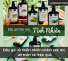 Dầu gội từ thiên nhiên chăm sóc tóc an toàn và hiệu quả