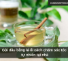 Gội đầu bằng lá ổi cách chăm sóc tóc tự nhiên tại nhà