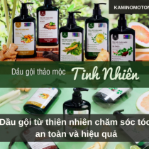 Dầu gội từ thiên nhiên chăm sóc tóc an toàn và hiệu quả