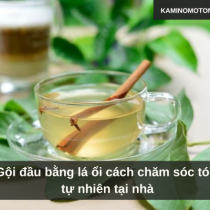 Gội đầu bằng lá ổi cách chăm sóc tóc tự nhiên tại nhà