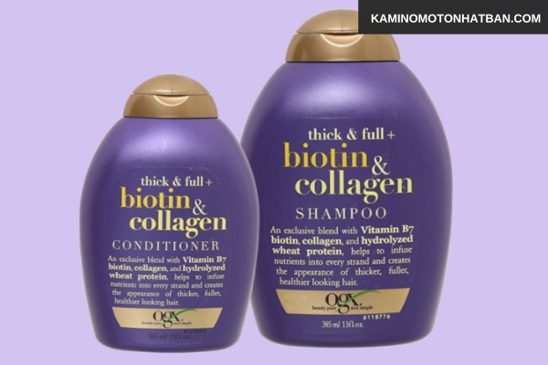 Dầu gội và dầu xả cùng bộ