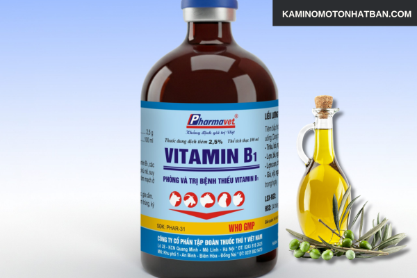 Gội đầu bằng vitamin B1 và dầu oliu