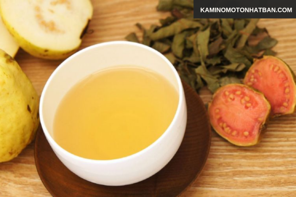 Lưu ý khi sử dụng lá ổi