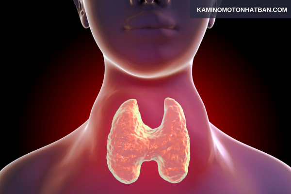 Rối loạn tuyến giáp