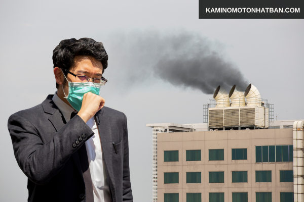 Tác động của môi trường