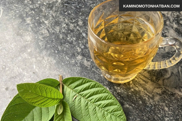 Thành phần có lợi trong lá ổi
