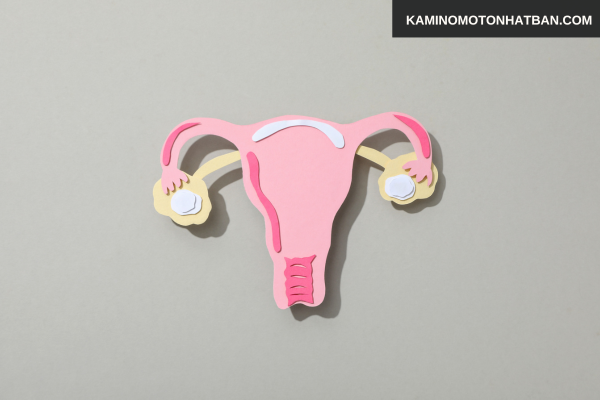 Thay đổi nội tiết tố